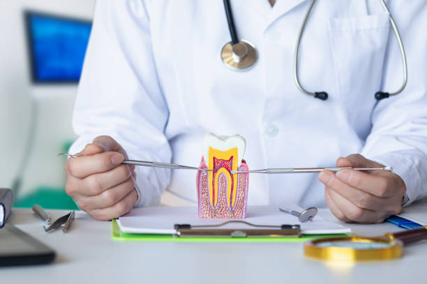 Best Mobile Emergency Dentist in Pitola, CA
